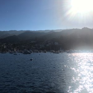 Catalina coast