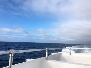 Catalina ferry ride