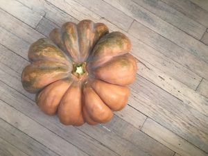 Large orange fairy tale pumpkin