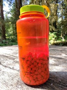 garbanzo beans soaking in a Nalgene water bottle