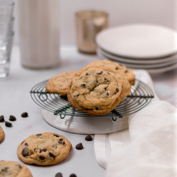 choc_cookies_001 chocolate chip cookies served and ready to be eaten